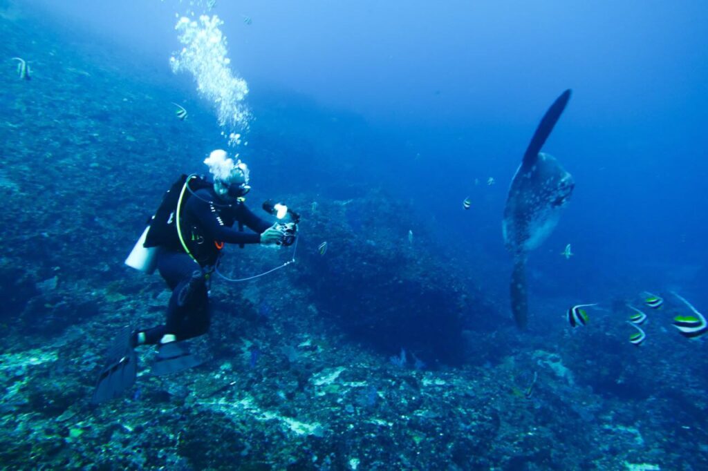 Have you always wondered what it’s like to breathe underwater? If you want to try scuba diving, but aren’t quite ready to take the plunge into a certification course, Discover Scuba Diving is for you. PADI dive shops offer this program either in a pool, off a beach or from a dive boat.