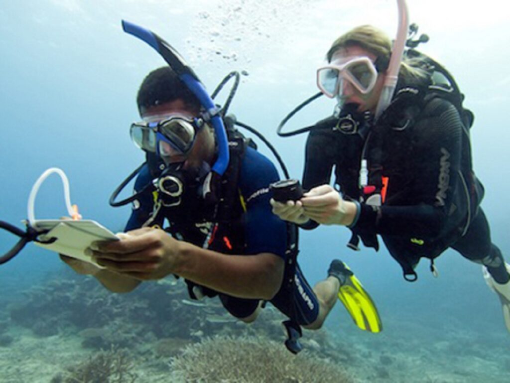 Love scuba diving? Want to share it with others on a whole new level? Take the PADI Divemaster course and do what you love to do as a career. Scuba divers look up to divemasters because they are leaders who mentor and motivate others.