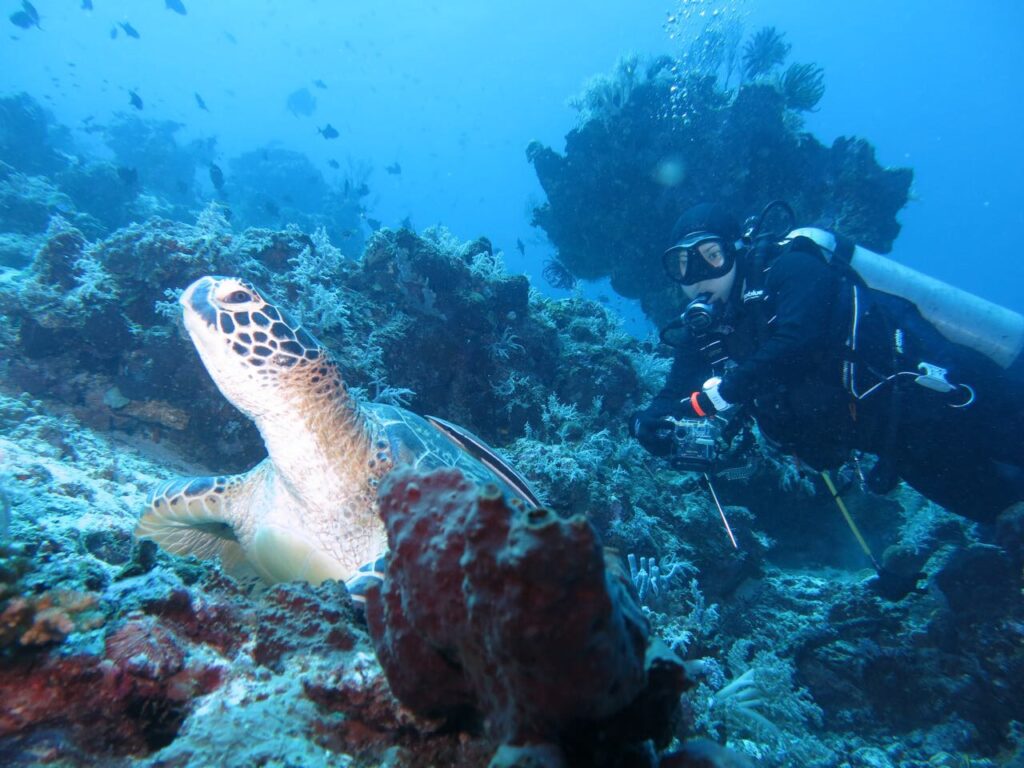 If you’ve always wanted to take scuba diving lessons, experience unparalleled adventure and see the world beneath the waves, this is where it starts. Get your scuba diving certification with the PADI ® Open Water Diver course – the world’s most popular and widely recognized scuba course.